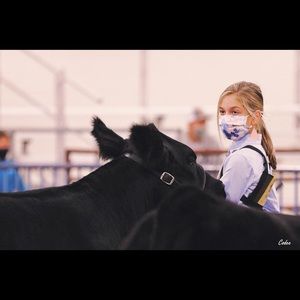 Meet your Posher, Amelia